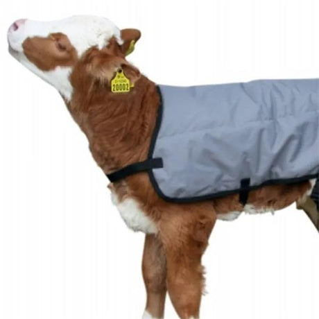 Breathable Calf Jacket