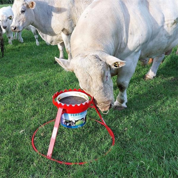 Mineral Block Holder Galvanised