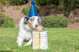Chuckit! Birthday Fetch Ball M