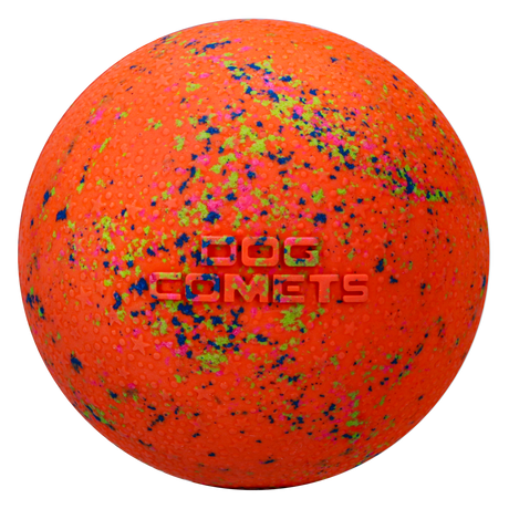 Dog Comets Stardust