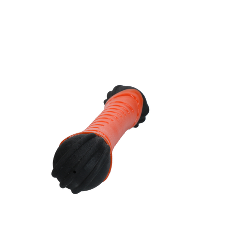 Dog Comets Asteroid Fetch Stick