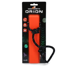 Dog Comets Orion