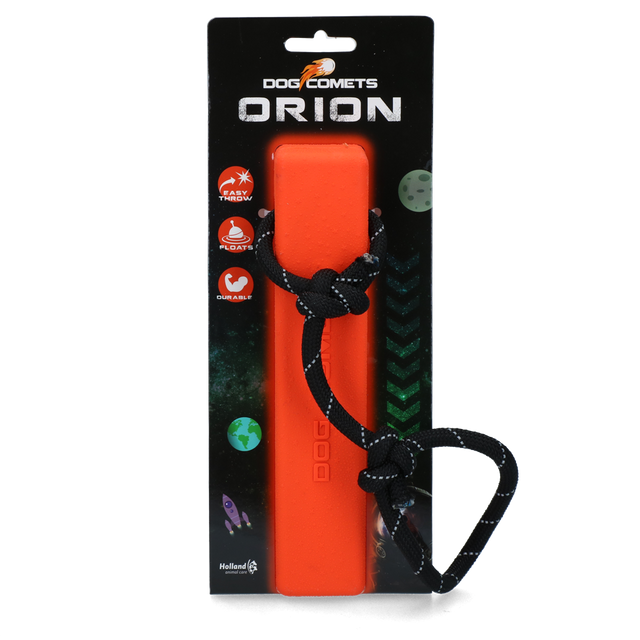 Dog Comets Orion