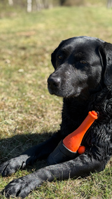 Dog Comets Bobber