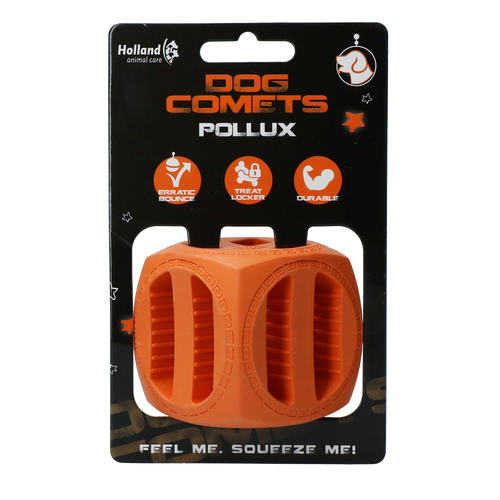 Dog Comets Pollux Orange