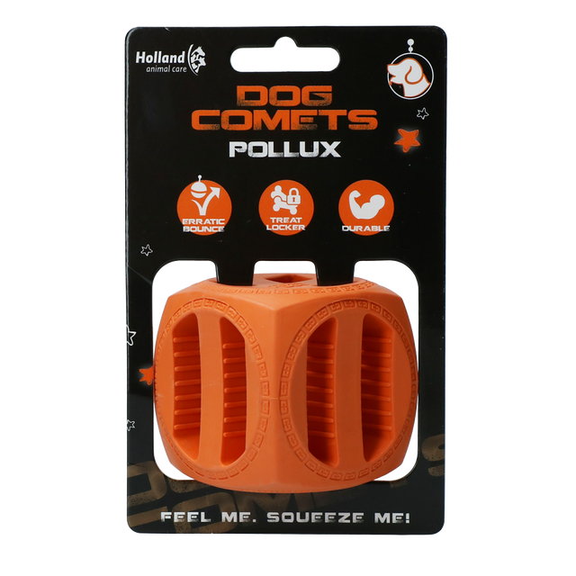 Dog Comets Pollux Orange