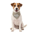 Coolpets Cooling Bandana Beige