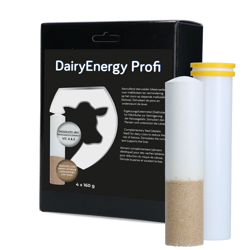 Dairy Energy Bolus