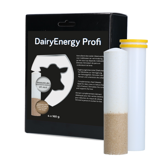 Dairy Energy Bolus