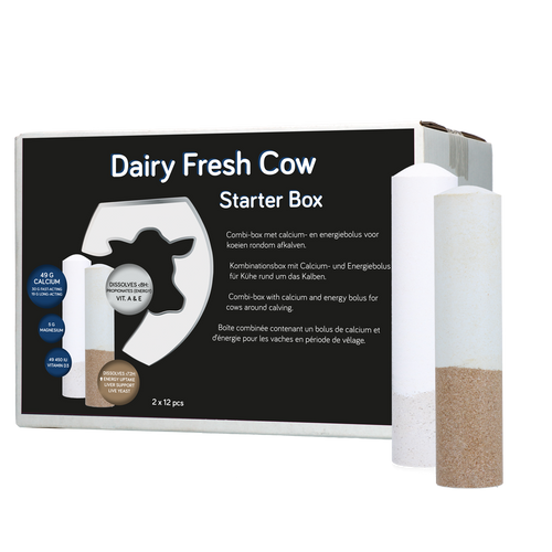 Dairy Fresh Cow Starter Box 2 x 12 Boluses