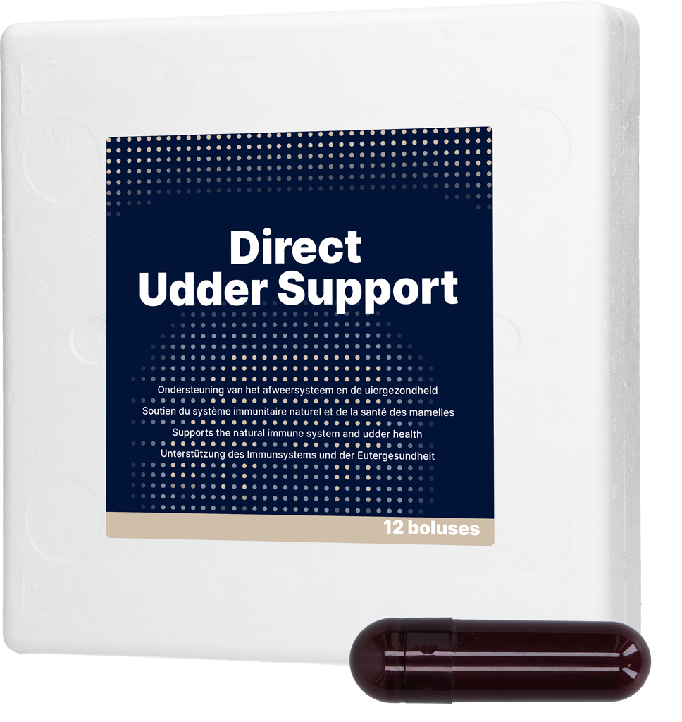 Direct Udder Support Bolus