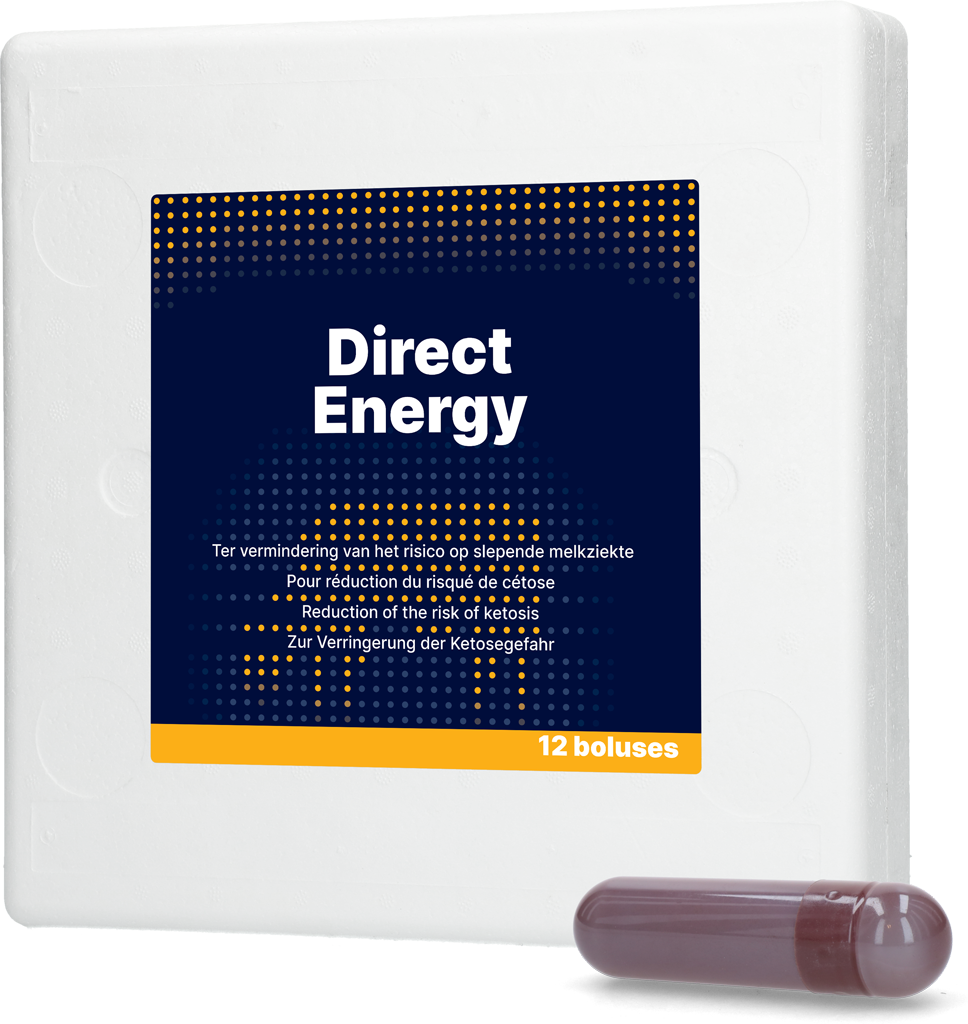 Direct Bolus Energy