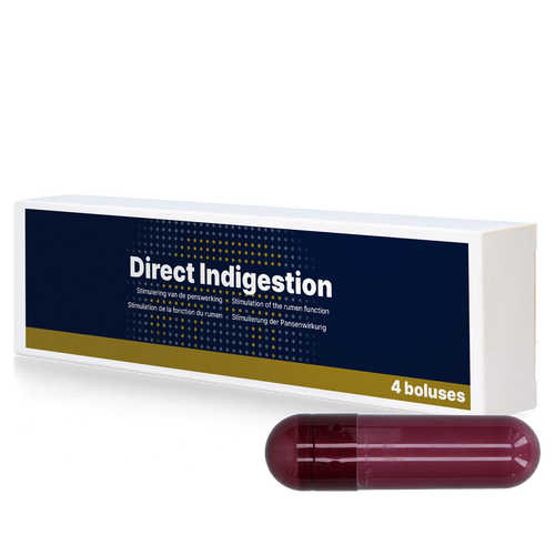 Direct Indigestion Bolus 4 x 76 g