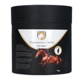 Excellent Horse Glucosamine + MSM 1 kg
