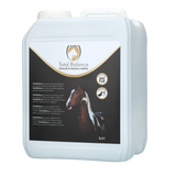 Excellent Horse Total Balance