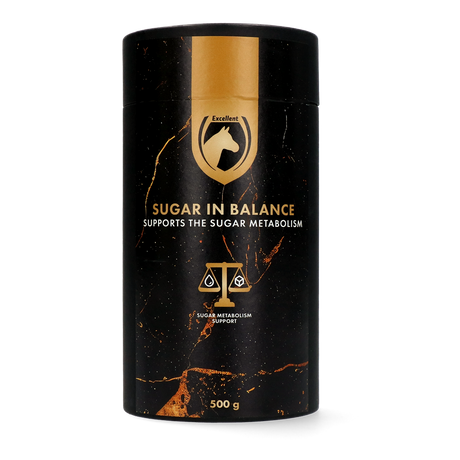 Excellent Horse Sugar in Balance