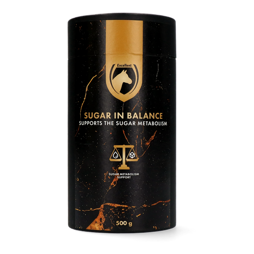 Excellent Horse Sugar in Balance