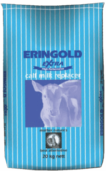 ERINGOLD EXTRA