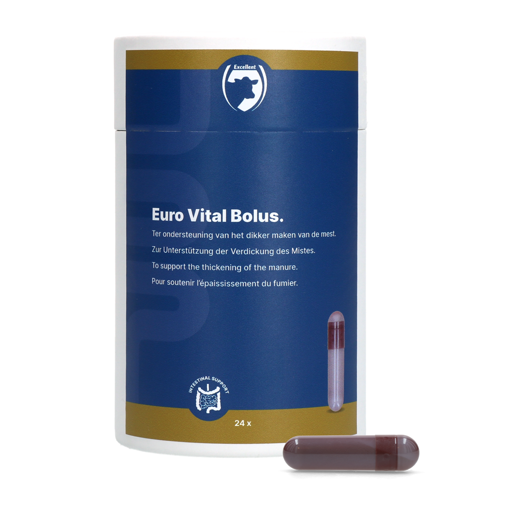 Excellent Euro-Vital Bolus 24 x 10 g