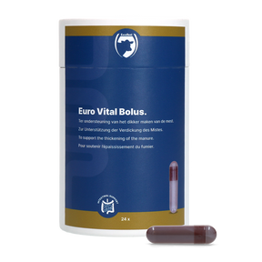Excellent Euro-Vital Bolus 24 x 10 g