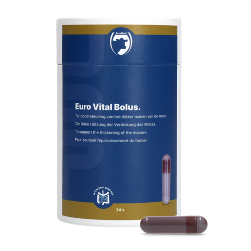 Excellent Euro-Vital Bolus 24 x 10 g