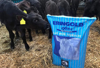 ERINGOLD EXTRA 20kg x 50 bags