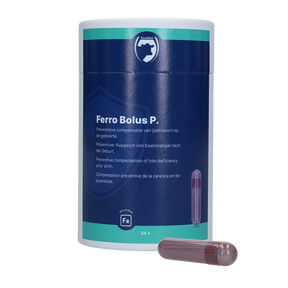 Excellent Ferro Bolus P 24 x 8.5 g