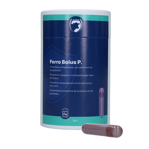 Excellent Ferro Bolus P 24 x 8.5 g
