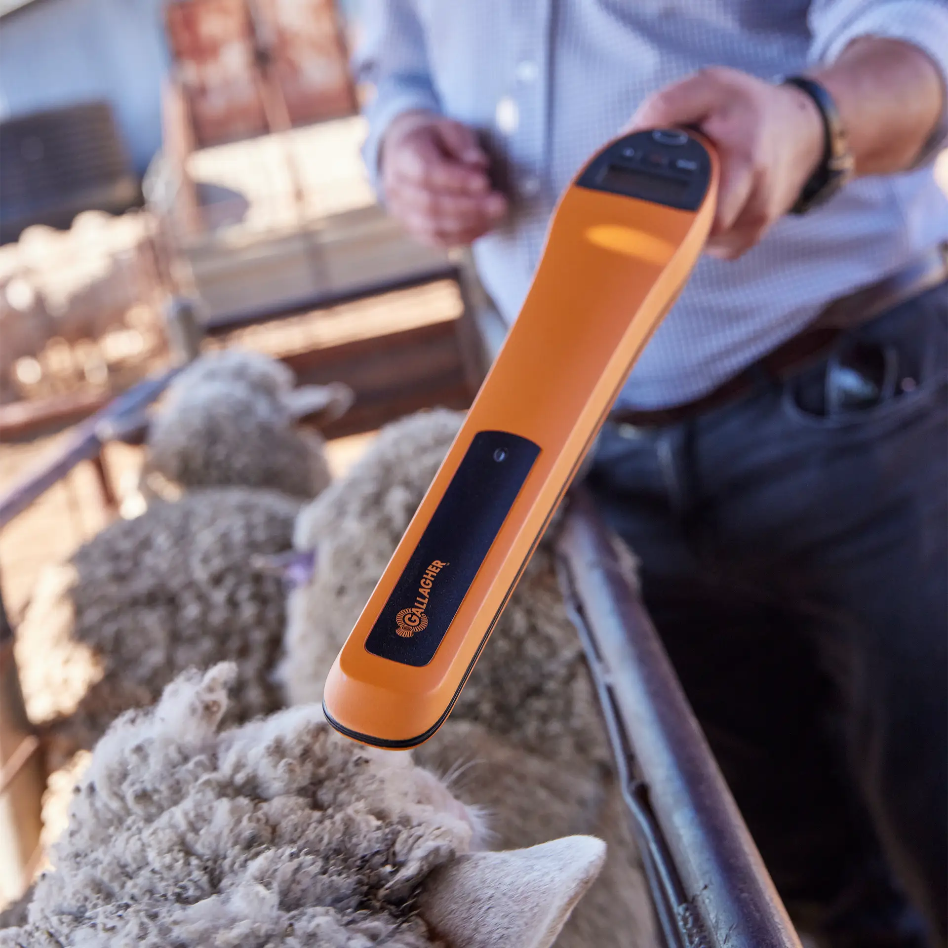 HR0 EID Ear Tag Reader