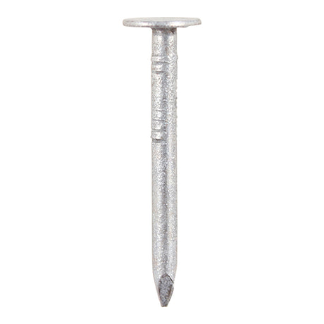 Timco Clout  - Galvanised
