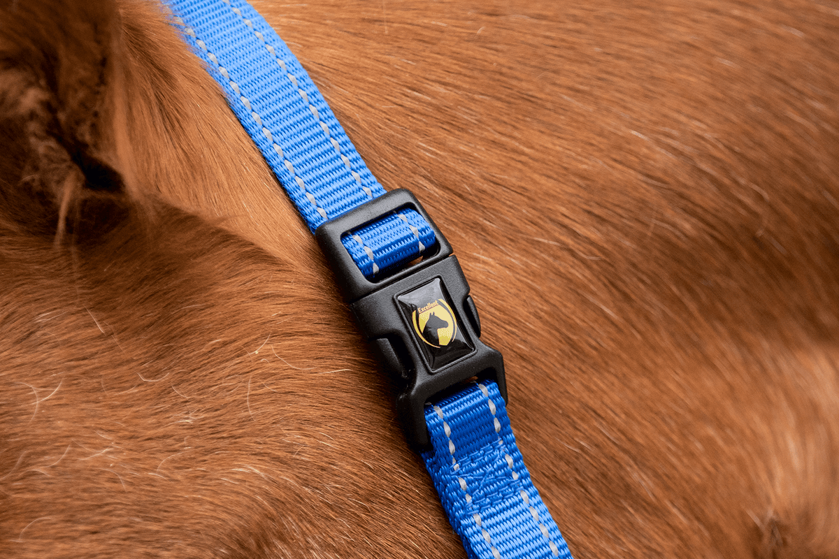 Excellent Essential Halter