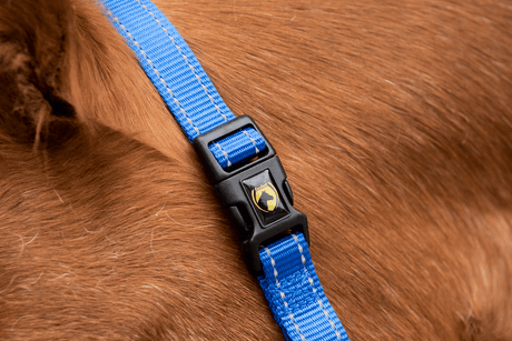 Excellent Essential Halter
