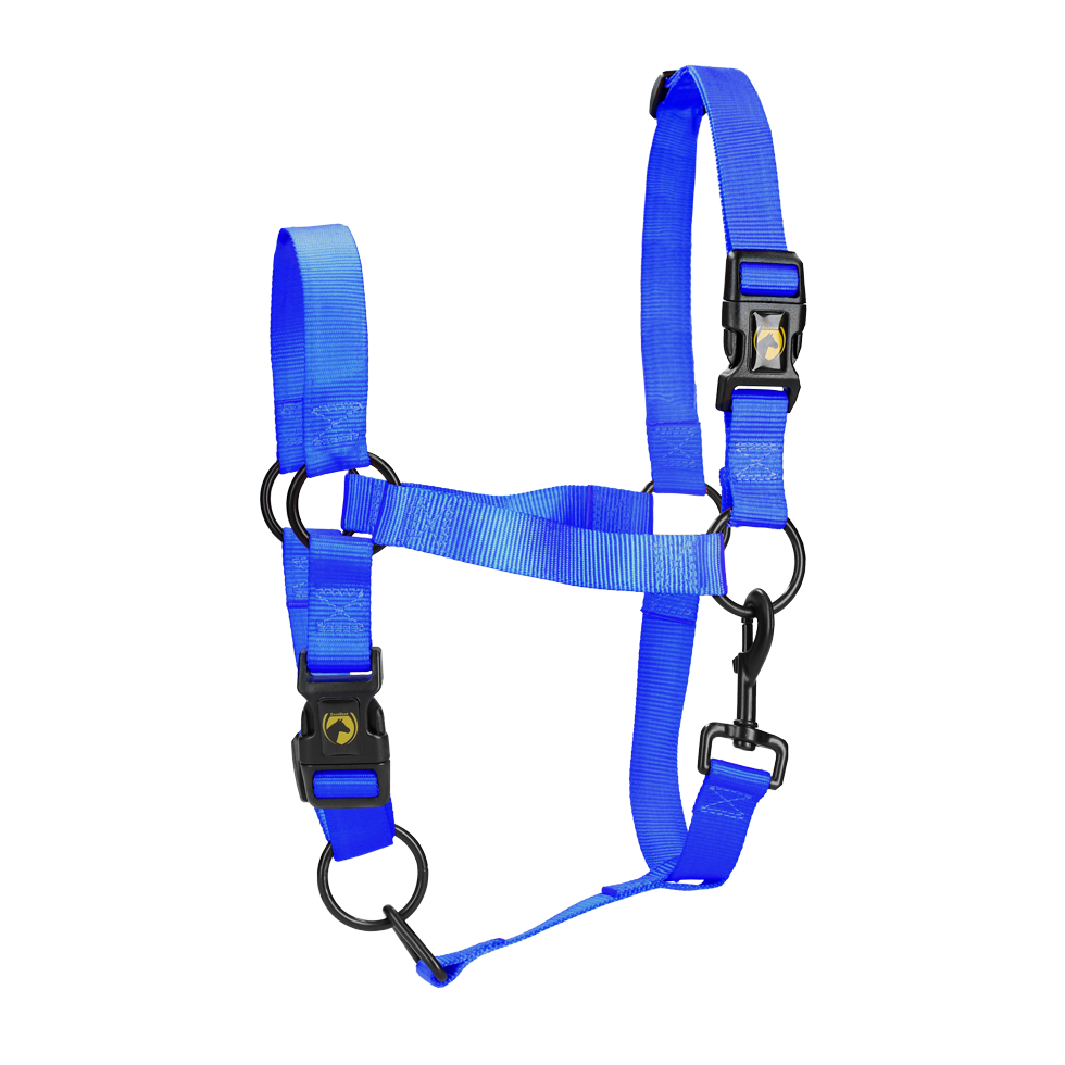 Excellent Essential Halter
