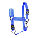 Excellent Superior Halter