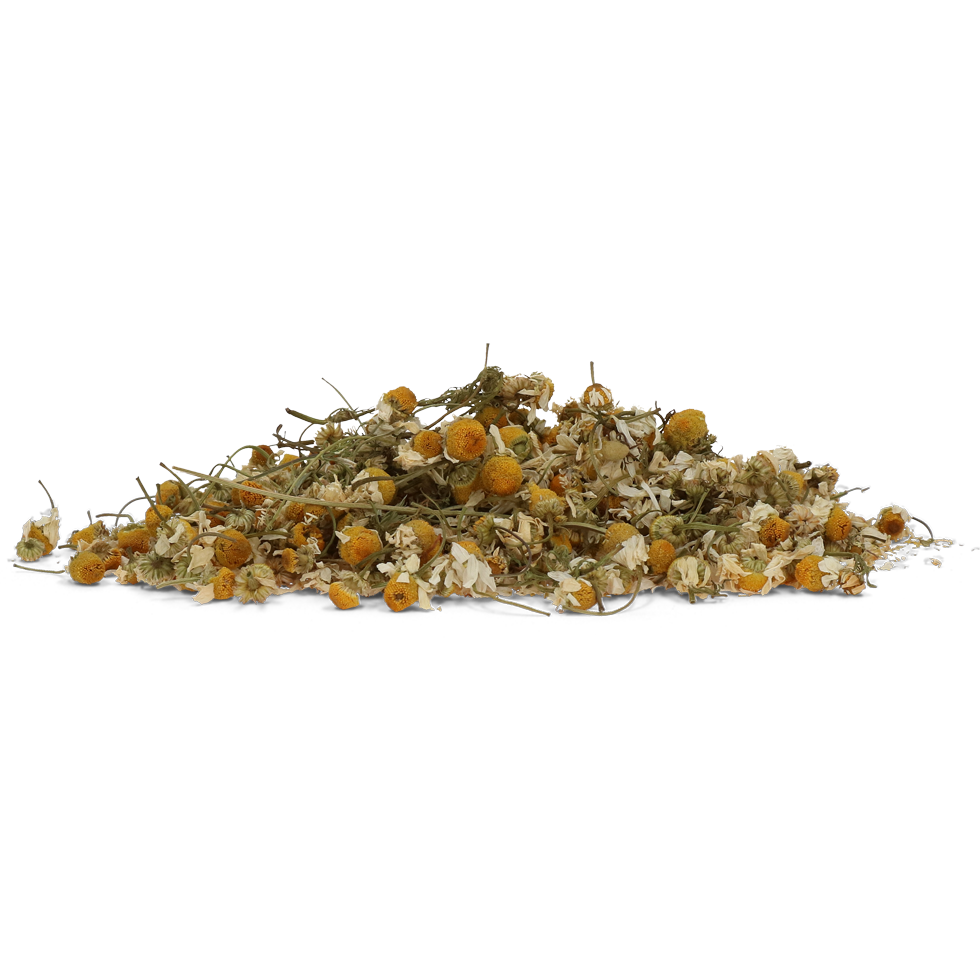 Excellent horse herbs Chamomile