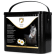 Excellent horse herbs Chamomile