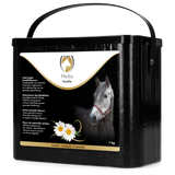 Excellent horse herbs Chamomile