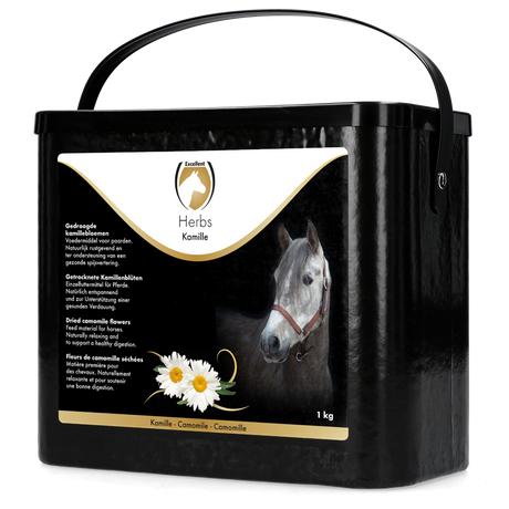 Excellent horse herbs Chamomile