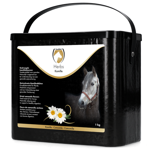 Excellent horse herbs Chamomile