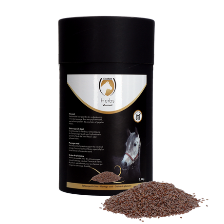 Excellent Horse Herbs Plantago Seed