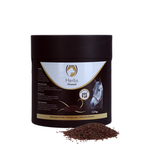 Excellent Horse Herbs Plantago Seed