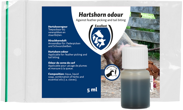 Excellent Hartshorn odour