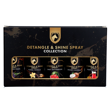 Detangle & Shine Spray Gift Set 5 x 50 ml