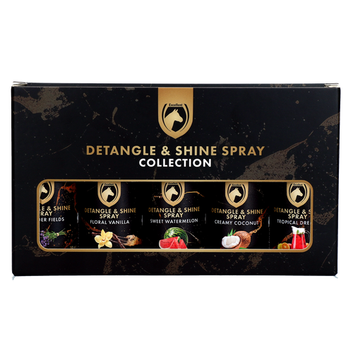 Detangle & Shine Spray Gift Set 5 x 50 ml