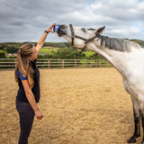 Horslyx Mini