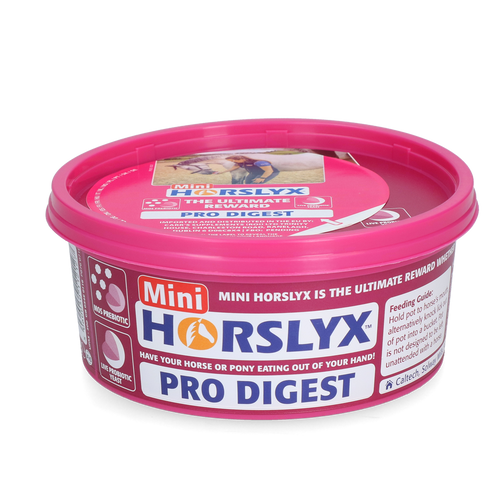 Horslyx Mini Digestion