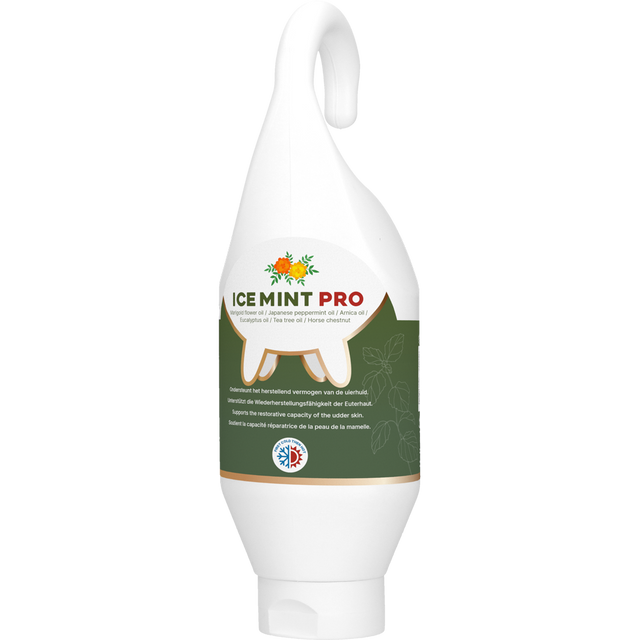 Ice Mint Pro Gel