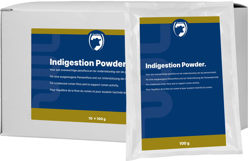 Excellent Indigestion Powder 10 x 100 g