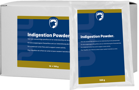 Excellent Indigestion Powder 10 x 100 g