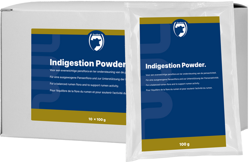Excellent Indigestion Powder 10 x 100 g